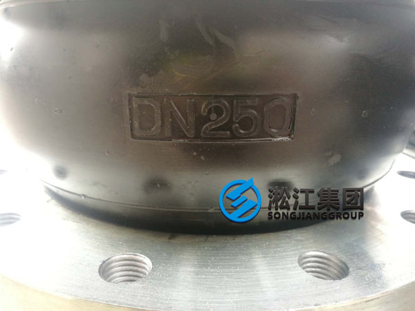 DN250氟橡膠軟接頭發(fā)往福清市現場