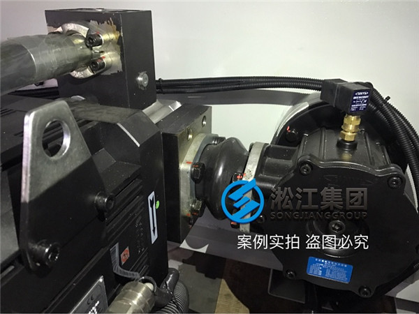 安裝現(xiàn)場注塑機(jī)液壓泵抽油橡膠避振喉“ASA NG80”